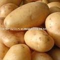 Fresh Potato fron India