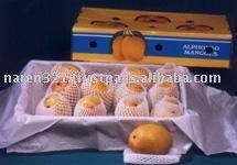 Alphonsa Mango from India