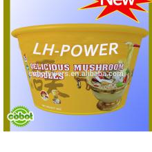flavouring instant noodle manufacture noodle soup