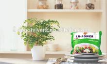 vegetarian instant noodle with customized flavour