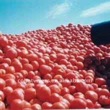 canned tomato paste fruit and vegetable storage