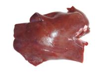 frozen pork hearts and frozen pork Liver,kidneys