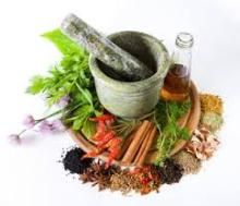 Cinnamon Bark Oil