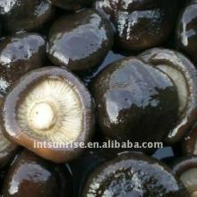 Pickled Shiitake Mushroom
