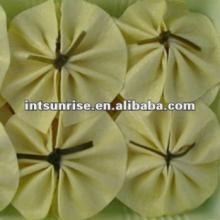  Frozen  Soybean  Curd (Yuba)