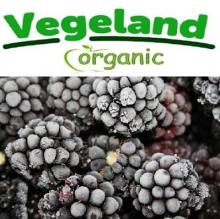 Organic  Frozen   IQF   Blackberry 