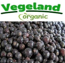 Organic  Frozen   IQF   Blackcurrant 
