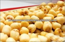 Dried Fruit Lotus Seed