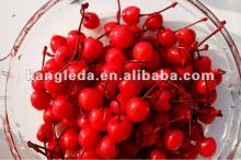 Canned Fruit-- Red Cherry with Stem