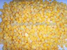 new harvested iqf  bulk   corn  kernel