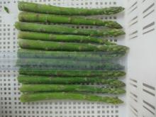  frozen   green   asparagus   spears 