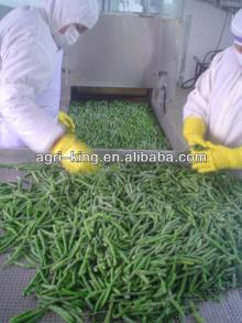 2-4,3-5cm iqf  organic   green   beans 