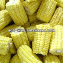 fruits and vegetables/sweet corn hot sale