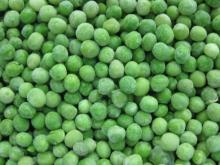  fresh  vegetable  frozen  green  pea s for sale
