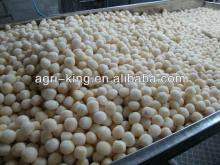 list of frozen foods/frozen taro