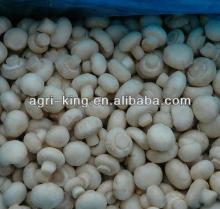 grade A frozen food frozen mushroom for sale