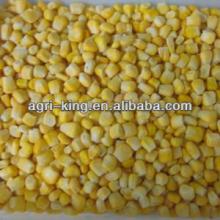 new frozen vegetable frozen sweet corn for sale
