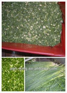 wholesale frozen vegetables green onion