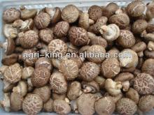 list of frozen foods/frozen mushroom hot sale