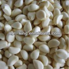 list of frozen foods/frozen garlic hot sale