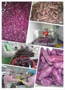 new harvested iqf bulk sweet potato dice