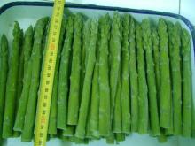 fresh vegetable frozen green asparagus hot sale