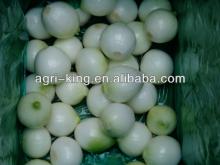 frozen  whole   onion 