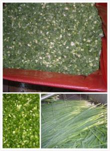 vegetable price/frozen diced green onion being hot