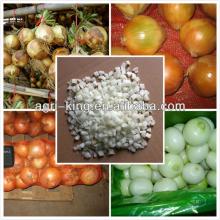frozen chopped onions