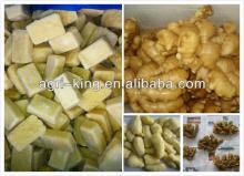 list of frozen foods/frozen ginger cubes hot sale