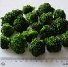 frozen organic broccoli