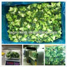 iqf  quick   frozen   broccoli 