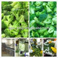 new greenhouse frozen broccoli 2014