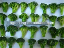 new crop iqf broccoli 4-6cm
