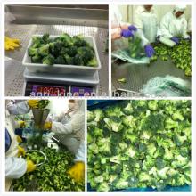 frozen broccoli spears