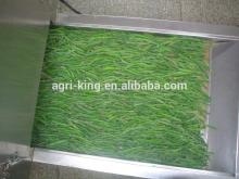  wholesale   green   beans 