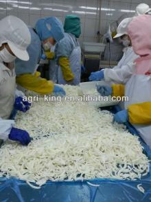 fresh vegetable frozen sliced onion