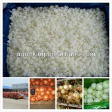 list of frozen foods/frozen onion dice
