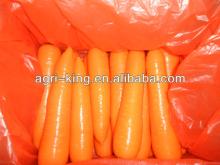exporters of fresh vegetables/fresh carrots