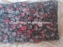 exporters of frozen fruits
