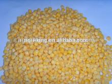 frozen sweet  corn  production