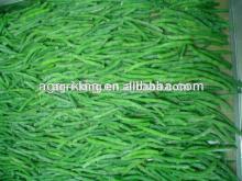 green beans wholesale