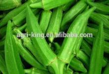 Chinese price IQF & Frozen okra