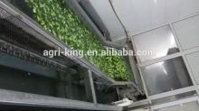 2014 high quality chinese  iqf   broccoli  cut