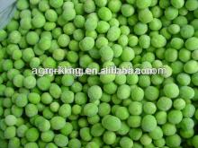 Chinese IQF & frozen green  pea s  price 