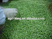 Chinese New crop Frozen & IQF green pea