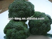 2014 Hot sale high quality frozen chinese organic broccoli