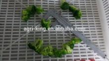 2014 Hot sale high quality chinese frozen chopped broccoli