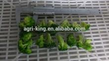 2014 Hot sale high quality chinese frozen broccoli spear