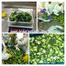 2014 new high quality chinese quick frozen chinese broccoli